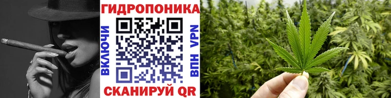 Канабис конопля  Купить где  Омск 